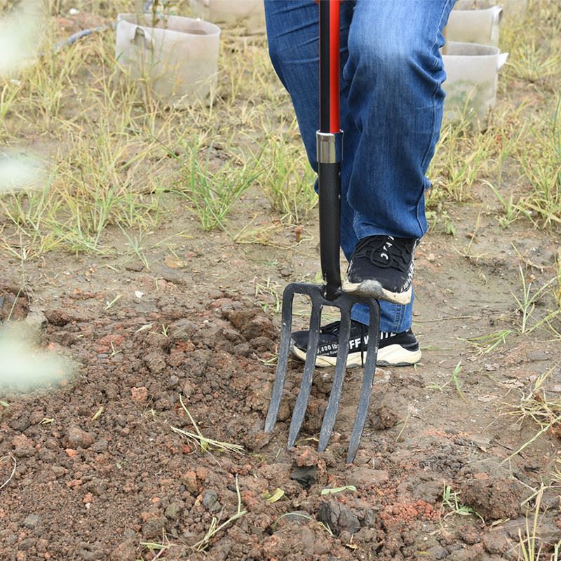 product-1-1 garden forks for gardening operation