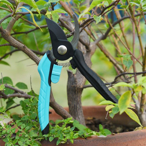 Sharp-pruner-scissors Sharp-pruner-scissors