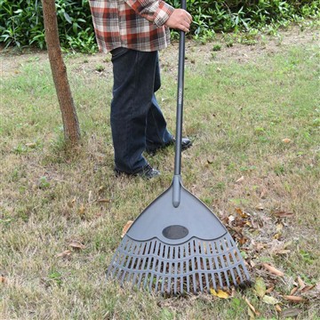 Peb yuav saib xyuas Vinca li cas thaum lub caij ntuj no?