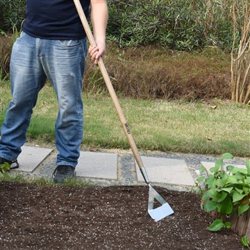 Cov txiaj ntsig ntawm Kev Pib Lub Vaj Zaub