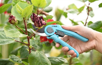 Qhov Zoo Ntawm Lub Hwj Chim Thiab Tes Txiav Tshuab