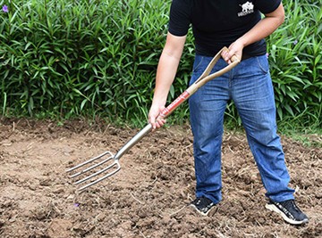 Luv luv Introduction Ntawm Lavxias teb sab Garden Culture