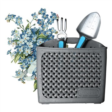 Txoj kev zoo los cog rau hauv paj lauj kaub