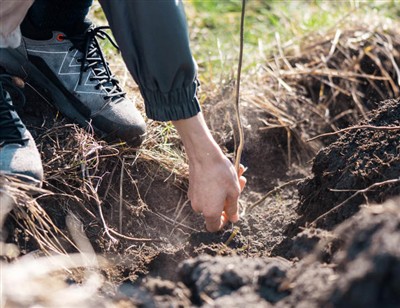 Ua si cov kauj ruam mus khawb hauv paus