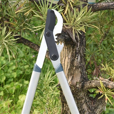 Cov cuab yeej zoo tshaj plaws Pruning ceg yog Bypass Loppers