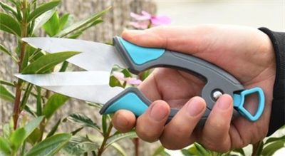 Secateurs Thiab Pruners