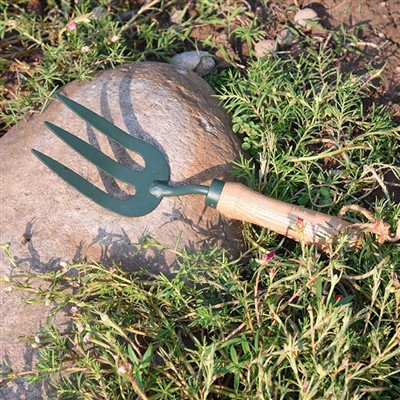 Lub Vaj Cuab Yeej 'Txhua Hnub Taug txuj kev nyuaj