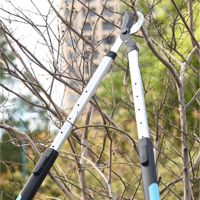 Gardening for Busy Individuals: Lub Tswv Yim rau Kev Saib Xyuas Koj Lub Vaj n...