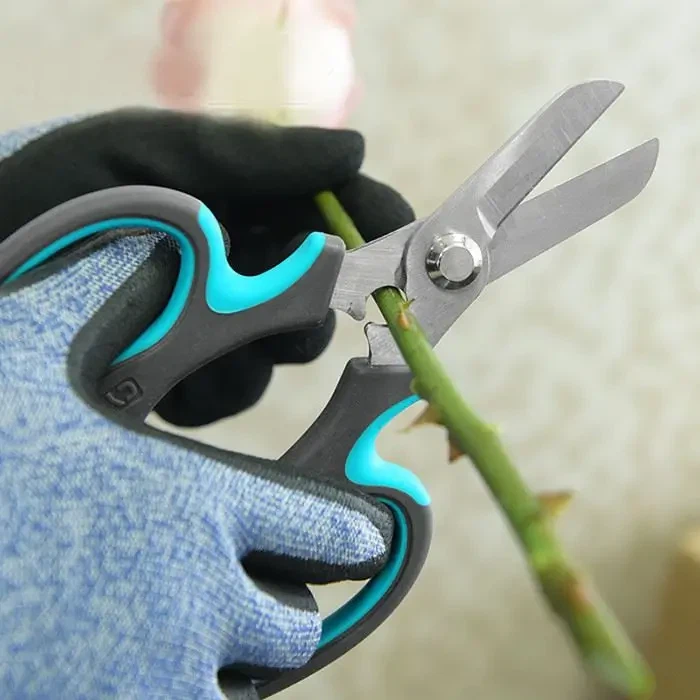 Pruning Shears thiab Roses yuav yog ib qho kev sib tw zoo meej