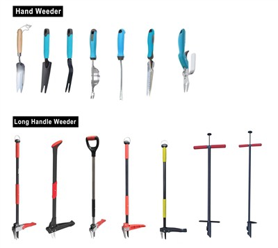 Cultivating Green: Embracing Sustainability hauv Koj Lub Vaj