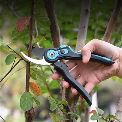 Ntiaj teb no Garden Tool Trends and Needs