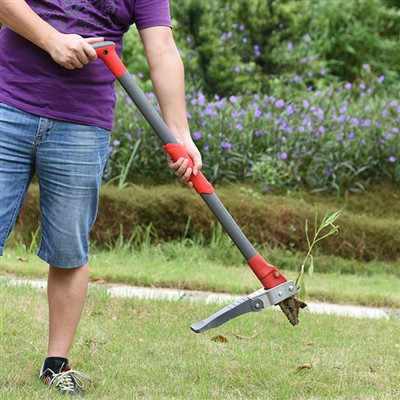 Yuav ua li cas tshem tawm cov nroj tsuag yam tsis khoov?