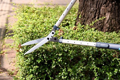 Lub qhov kawg Hanters Shear Medical Qhia: Txuas ntxiv Tuam Lub Neej & Txhawb ...