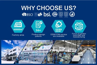 Vim Li Cas Xaiv Peb Cov Cuab Yeej Vaj