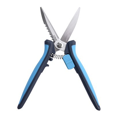 Zoo tshaj pruning snips
